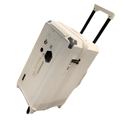Hard Shell Suitcase with Spinner Wheels & TSA Lock