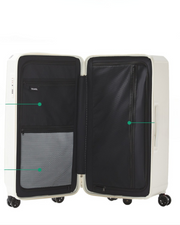 Hard Shell Suitcase with Spinner Wheels & TSA Lock